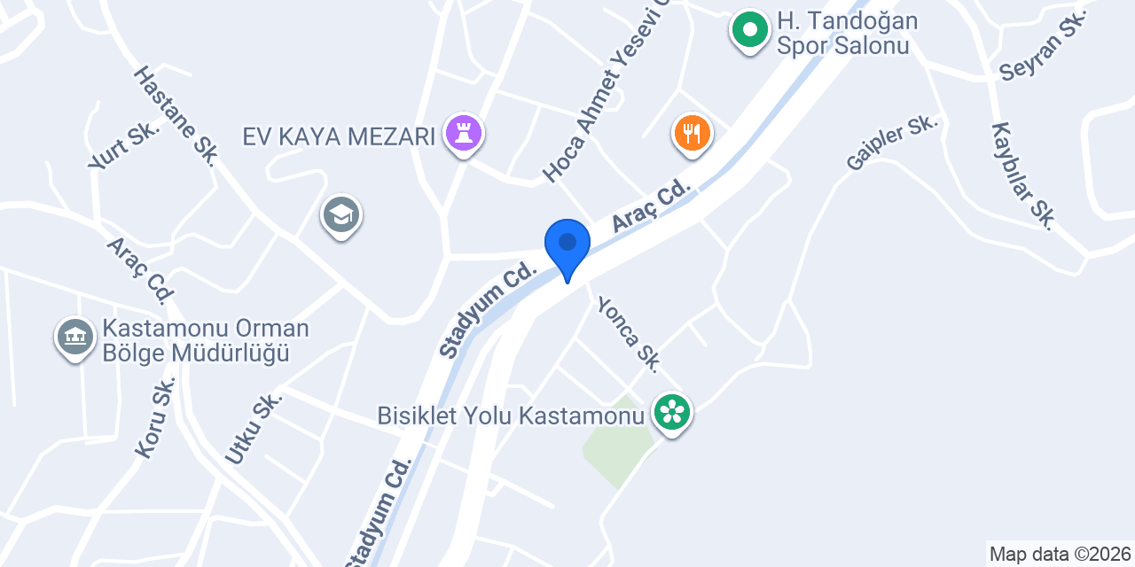 İZ organizasyon kastamonu konumu