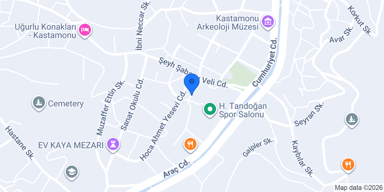 SRVT GARAGE konumu