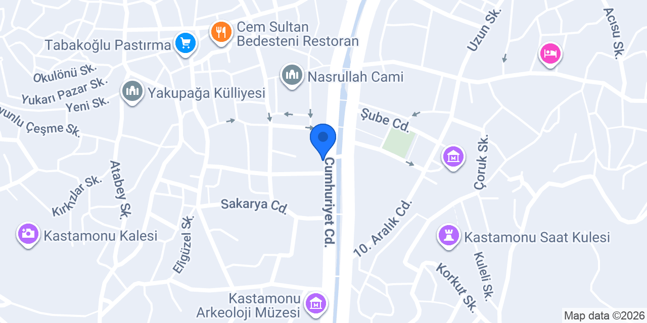 Ak Dizel Özel Servisi konumu