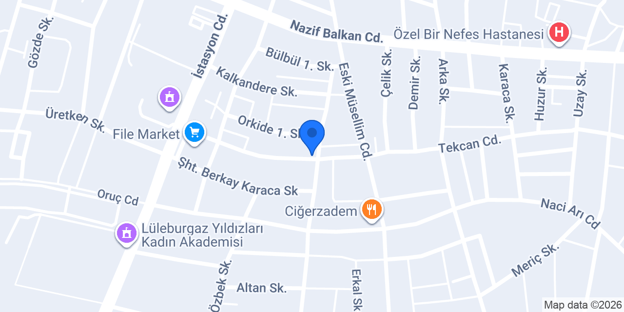 Terzi Aslı konumu