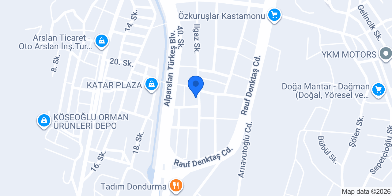 LİON GARAGE konumu