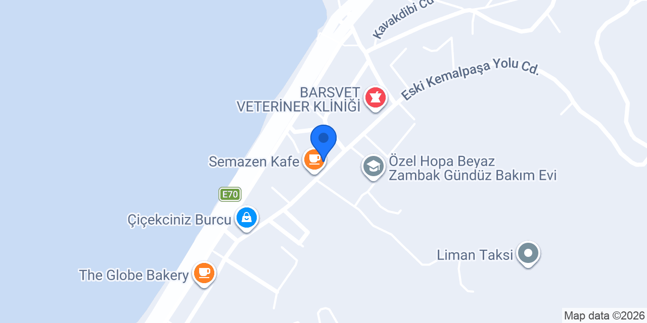 Hopa Noterliği konumu