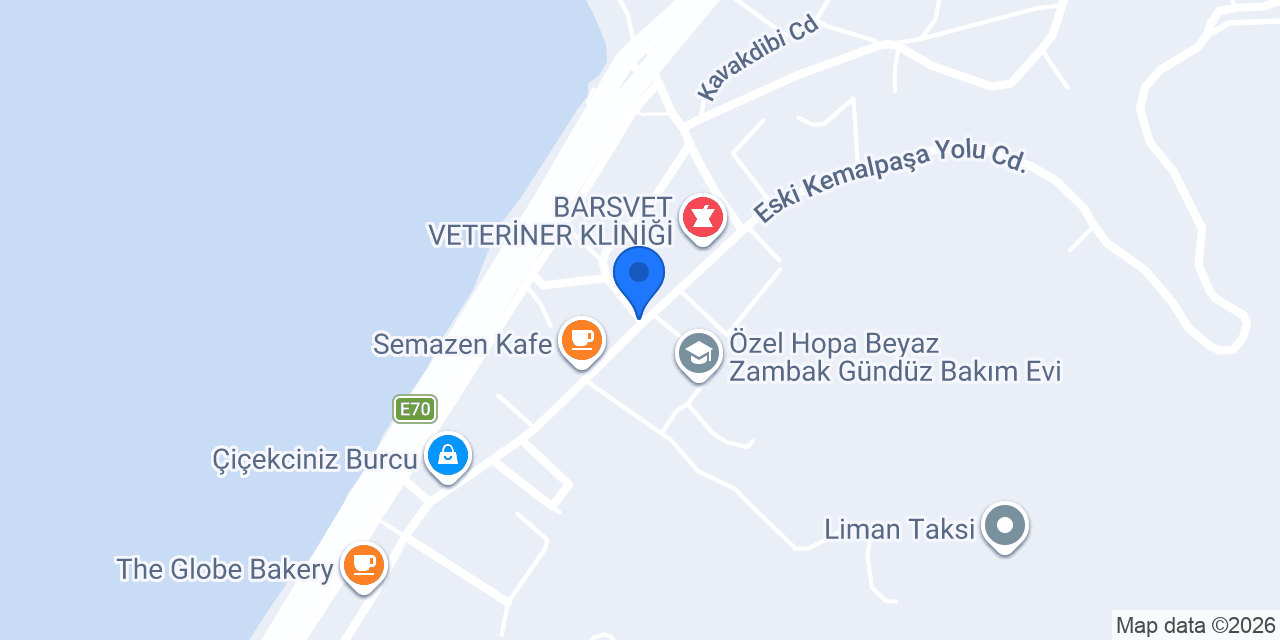 Anel Gümrükleme konumu