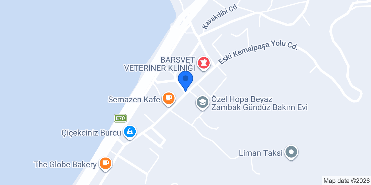 Hopa Livane SRC kursu konumu