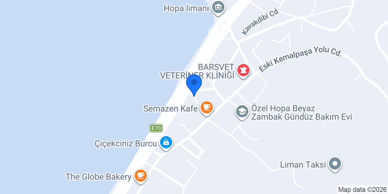 Tolex Dış Ticaret Kargo Ltd.Şti konumu