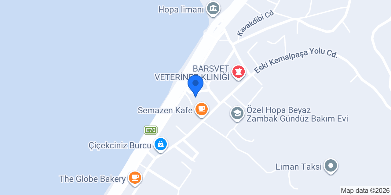 Parlak Logistics konumu