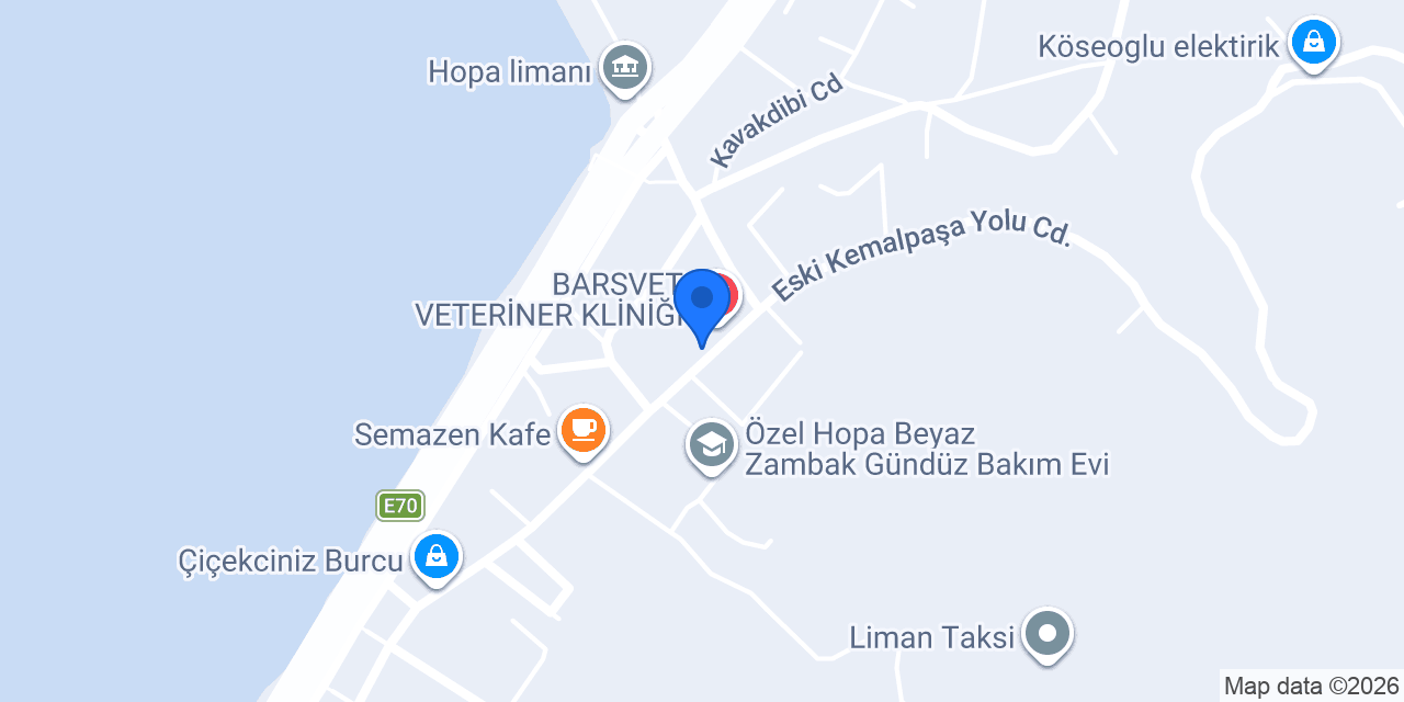 Cafe | Ev Yemekleri | Lalezar konumu
