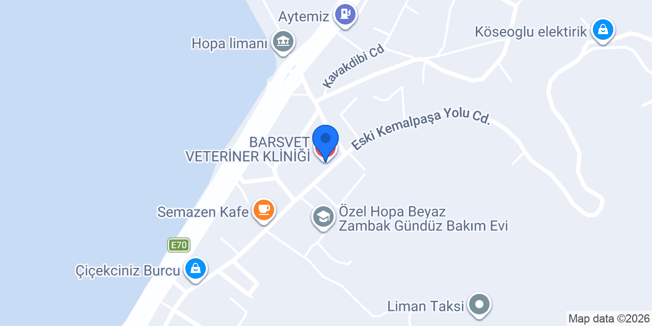 BARSVET VETERİNER KLİNİĞİ konumu