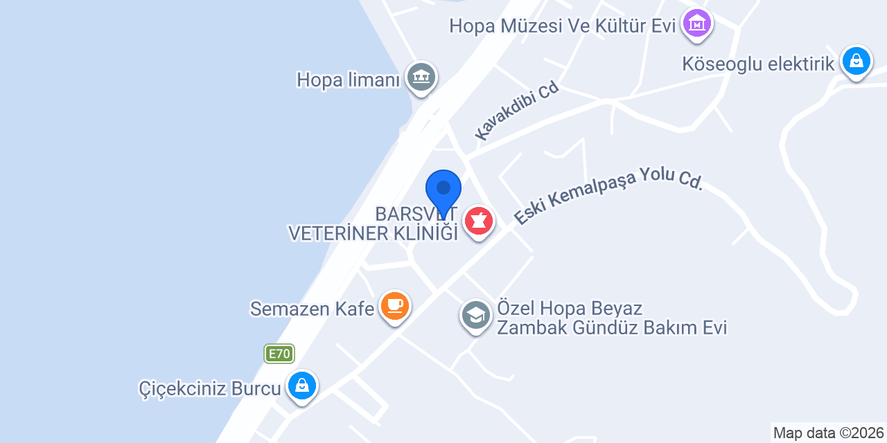 Hastane Taksi konumu