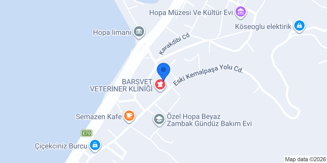 North Rent A Car konumu