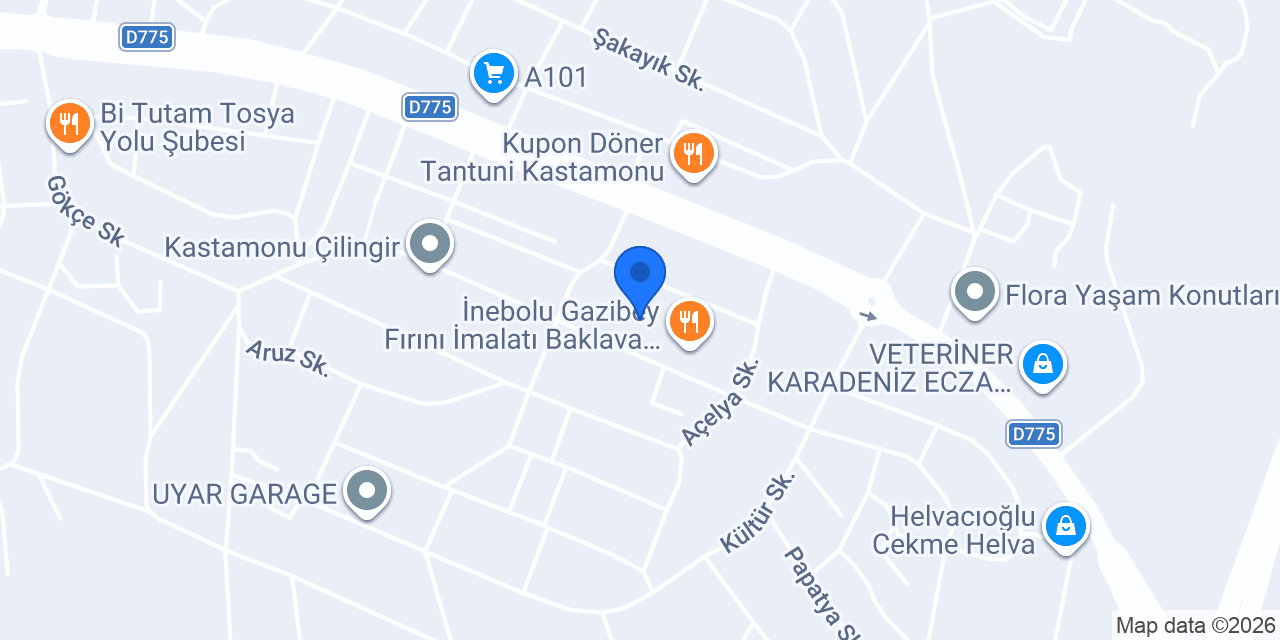 Beste Geri Dönüşüm konumu