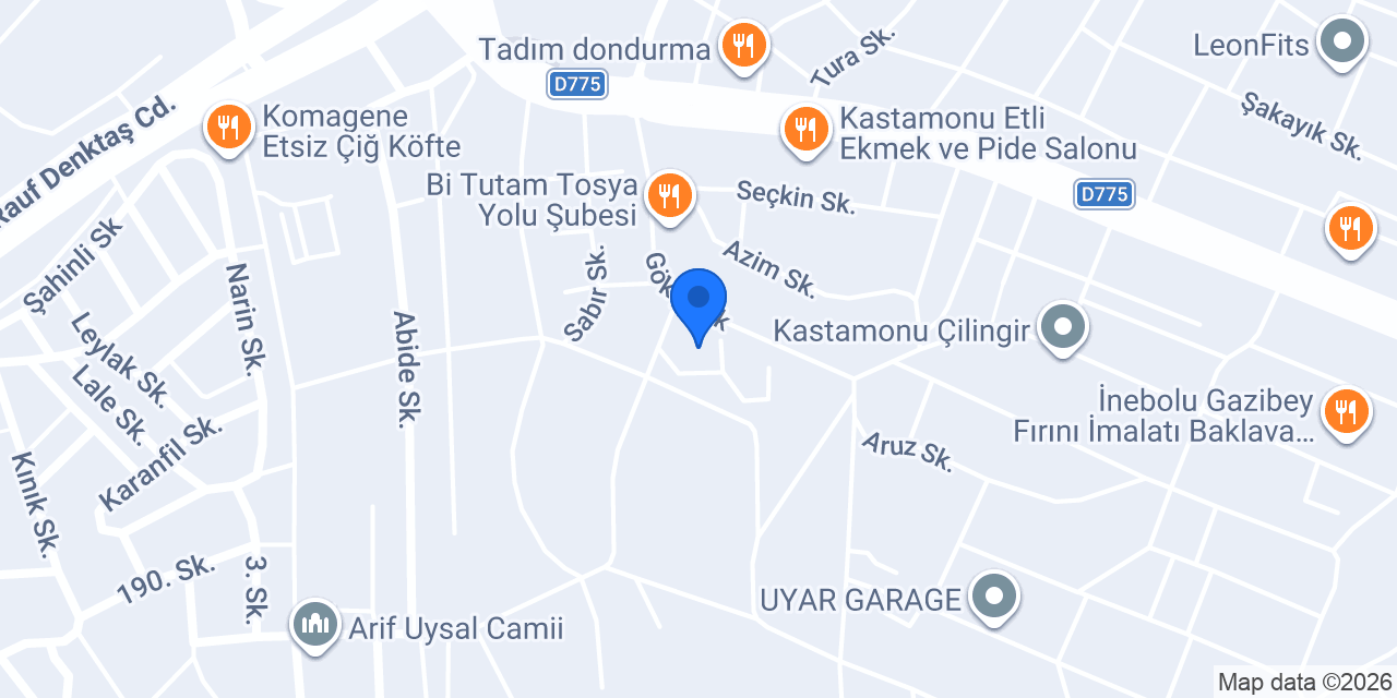 KASTAMONU AMBALAJ DÜNYASI konumu