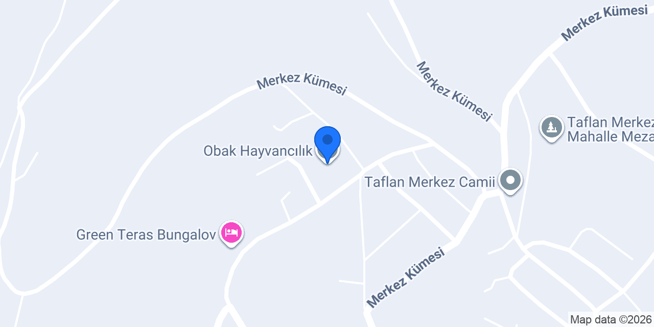 Obak Hayvancılık. konumu