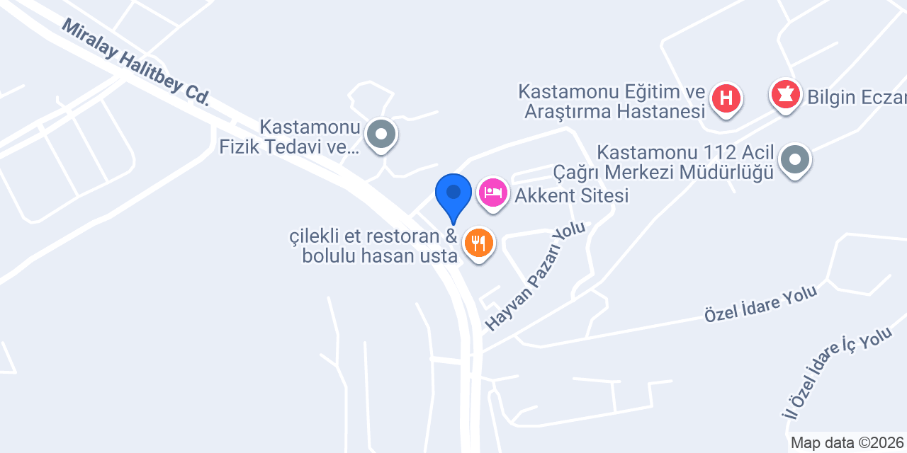 MSF AUTO ÖZSOYLAR konumu