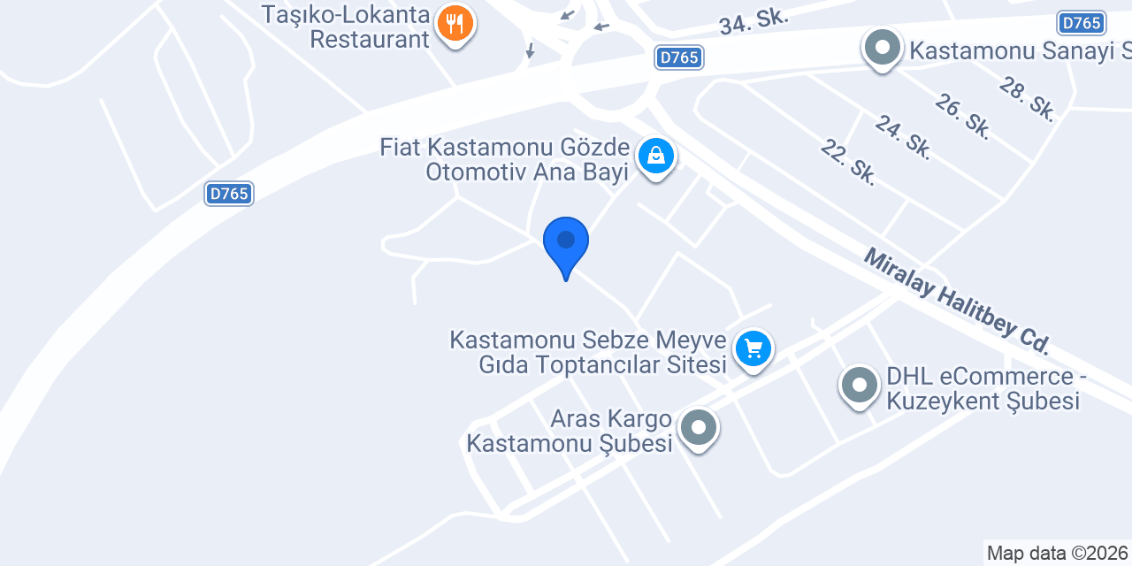 Olgunlar Orman Ürünleri konumu
