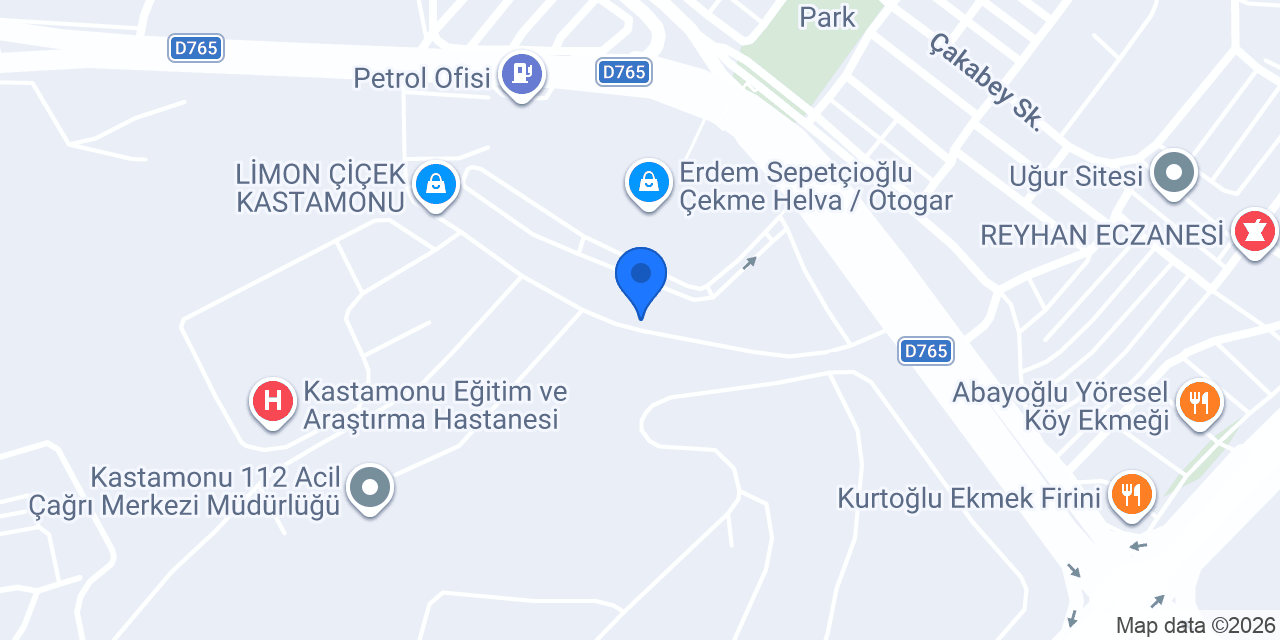 Kozanhan Cesur Protez Ortez konumu