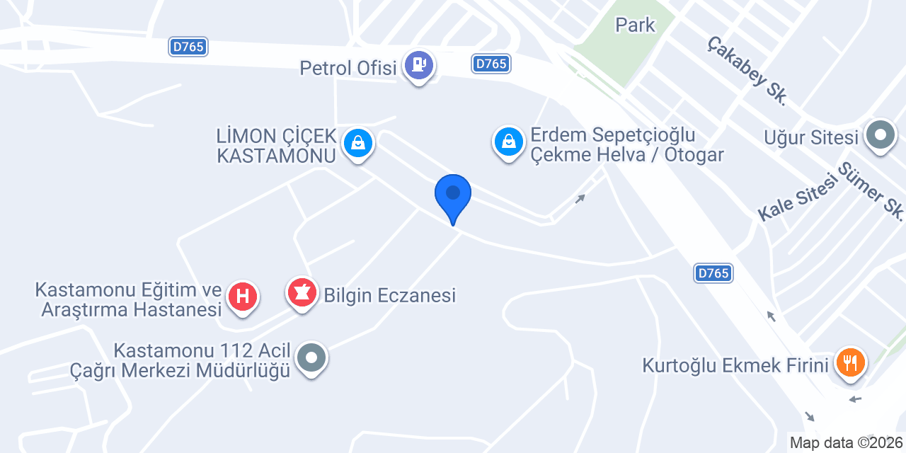 AY ÇİÇEK KASTAMONU konumu