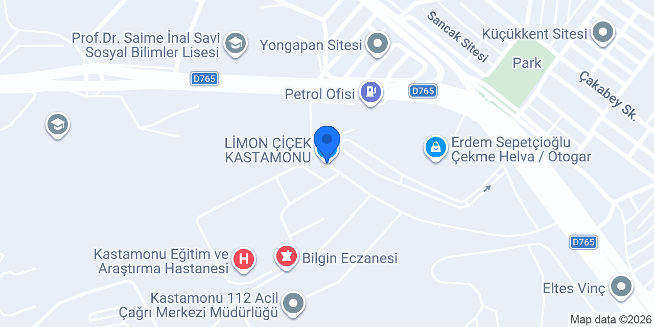 LİMON ÇİÇEK KASTAMONU konumu
