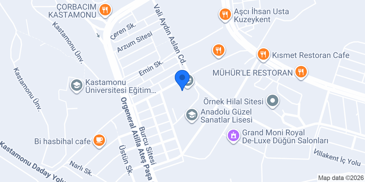 Vali Aydın Arslan Ortaokulu konumu
