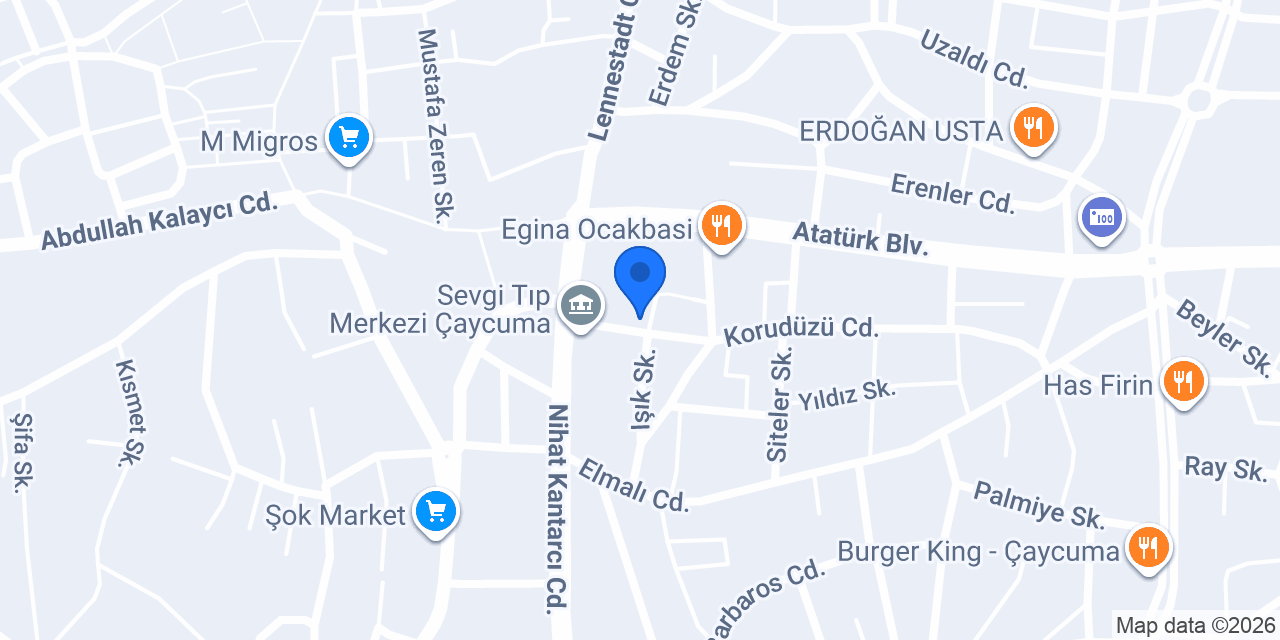 nebi usta perde evi konumu
