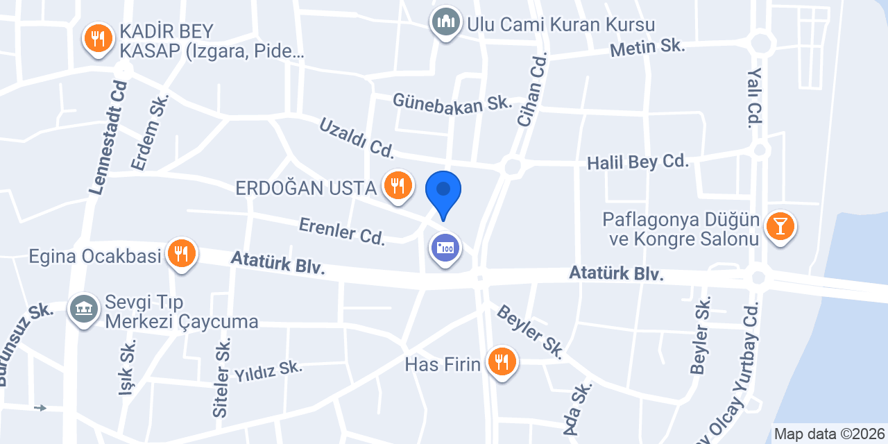 Sistem elektrik konumu