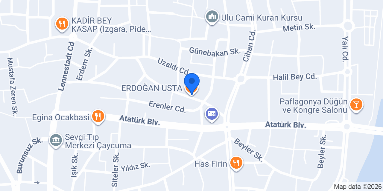 ERDOĞAN USTA konumu
