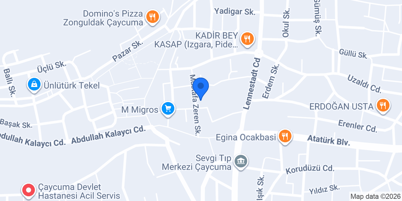 Aydın Elektrik konumu