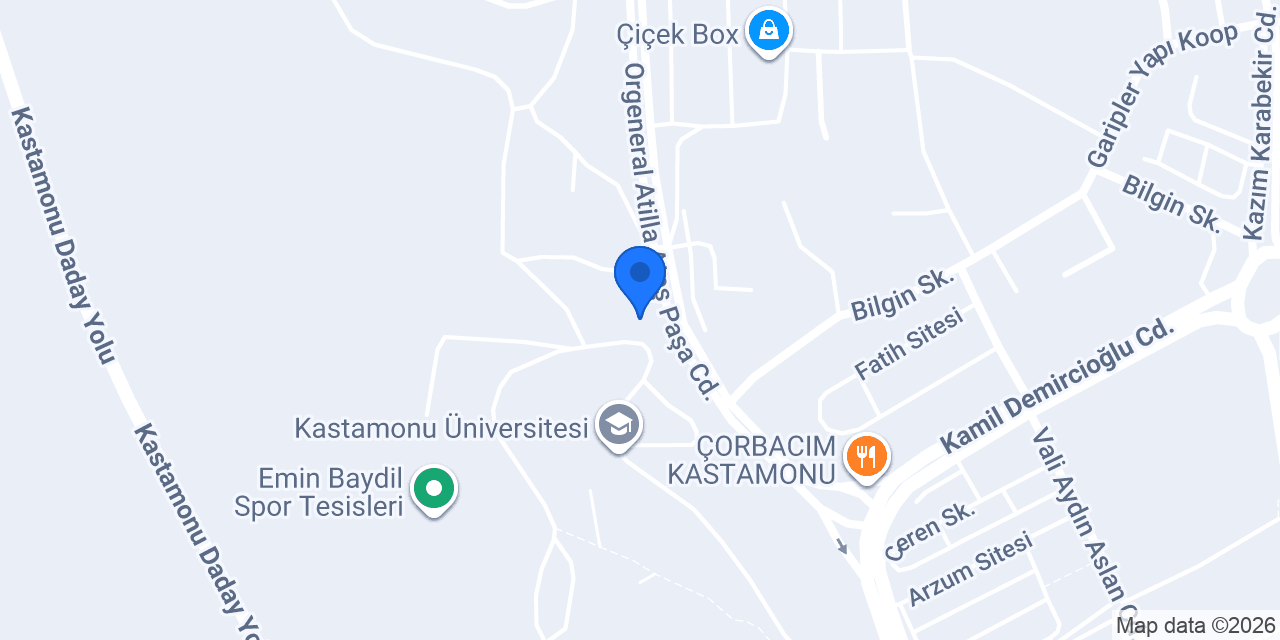 Naps Endüstriyel Makine Sanayi konumu