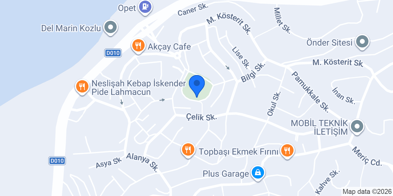 Çınar Cafe & Aile Çay Bahçesi konumu