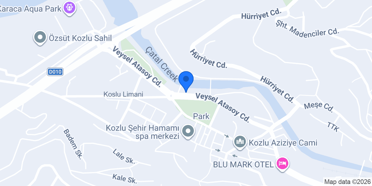 Tarkan Şef konumu