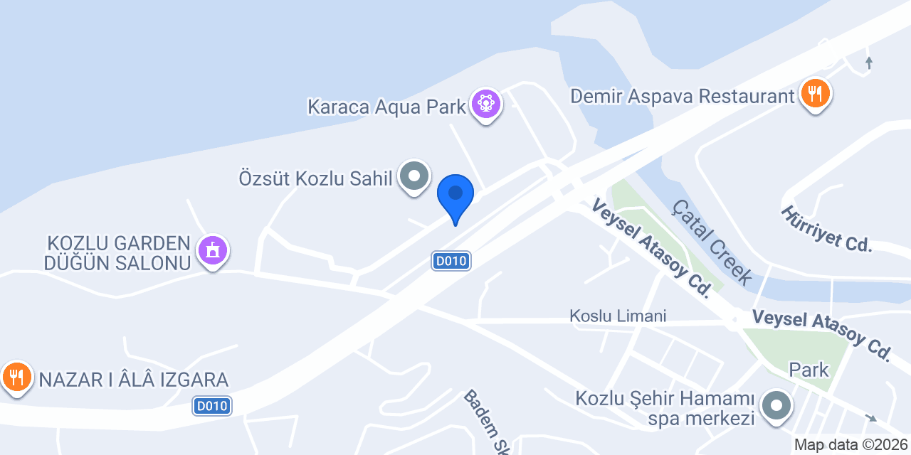 Domino's Pizza Kozlu konumu