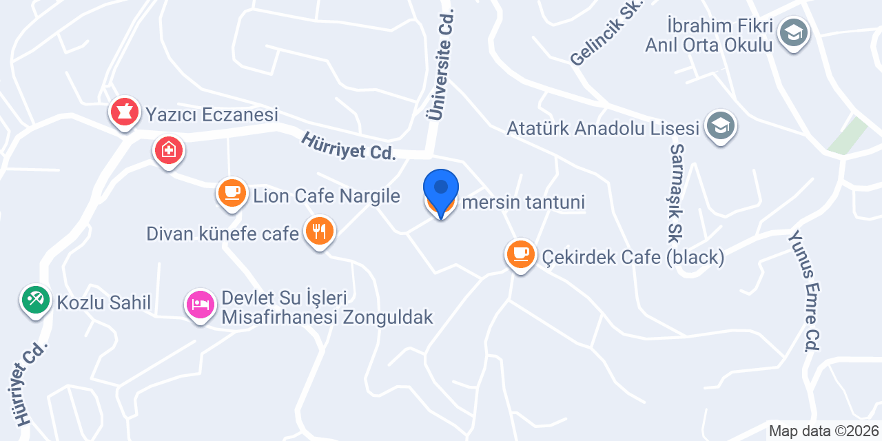 mersin tantuni konumu
