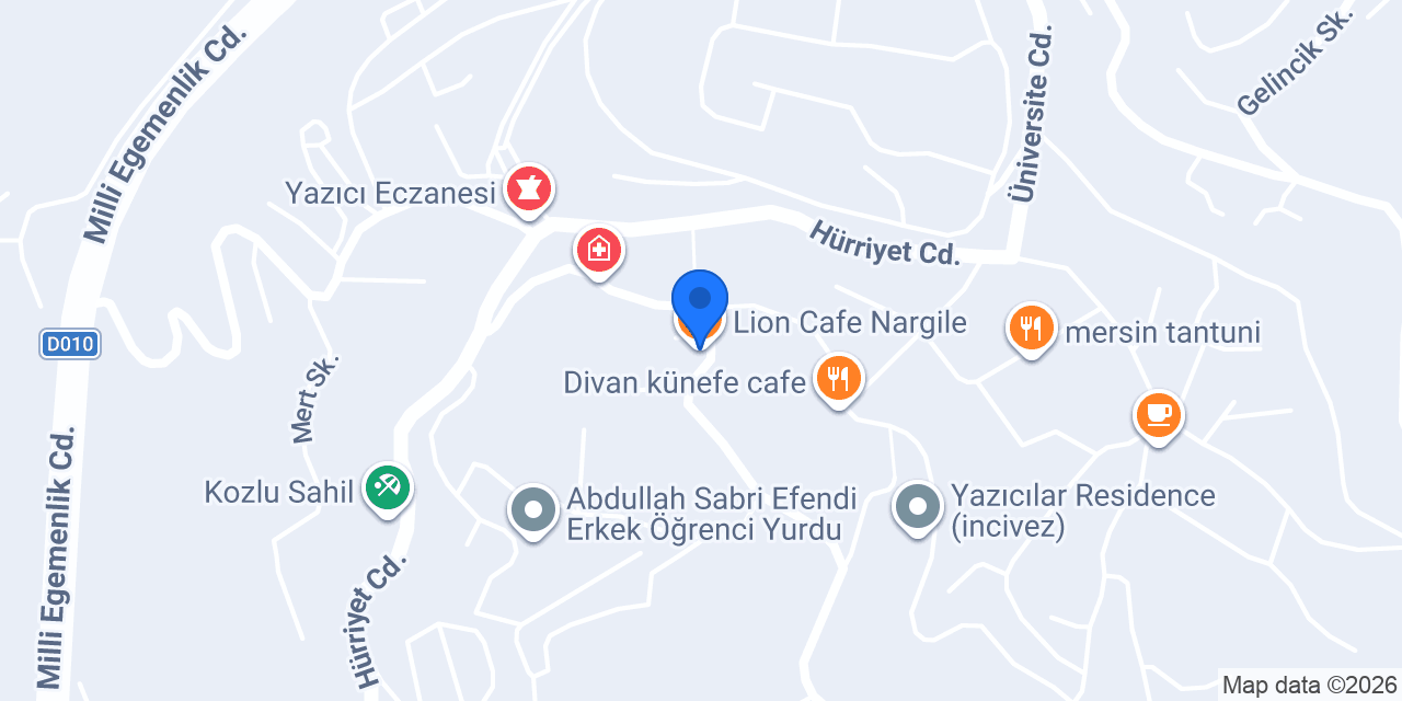 Lion Cafe Nargile konumu
