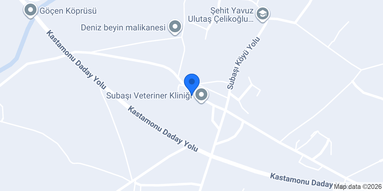 Arpacıoğlu Ticaret konumu