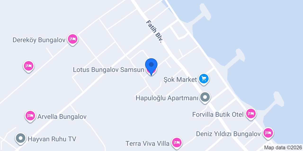 Lotus Bungalov Samsun konumu