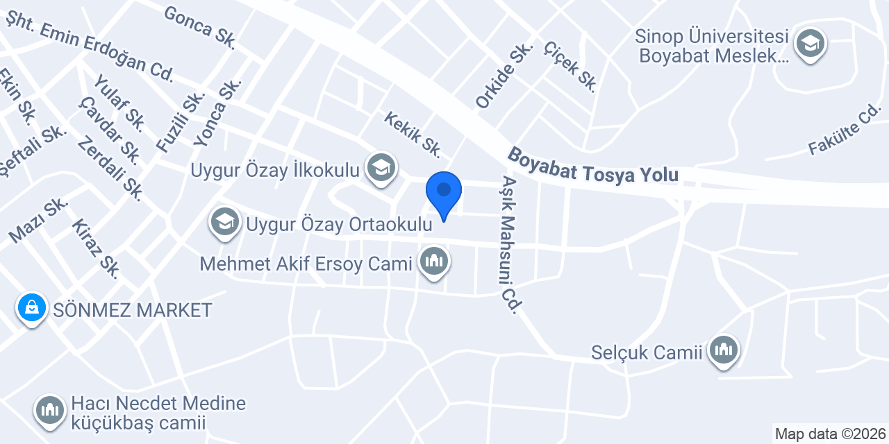 boyabat konteyner konumu