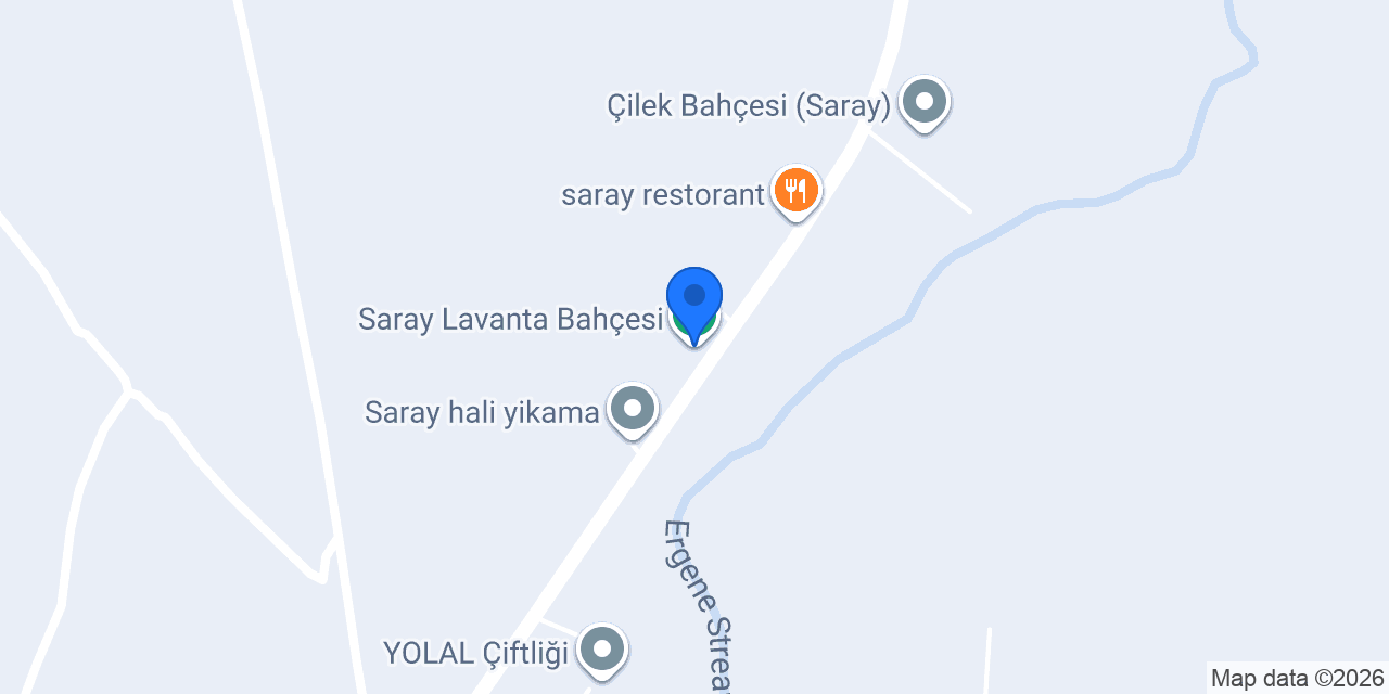 Saray Lavanta Bahçesi konumu