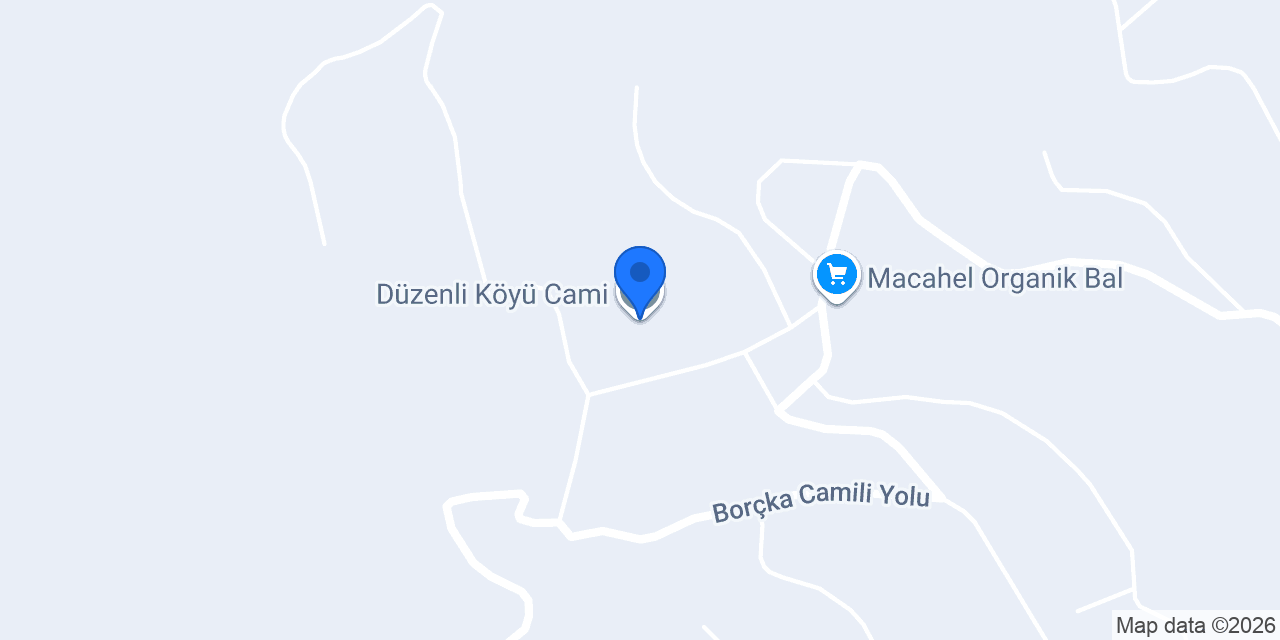 Düzenli Köyü Muhtarlığı konumu