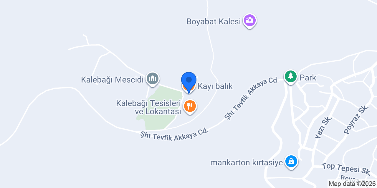 Kayı balık konumu
