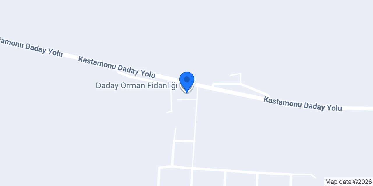 Daday Orman Fidanlığı konumu