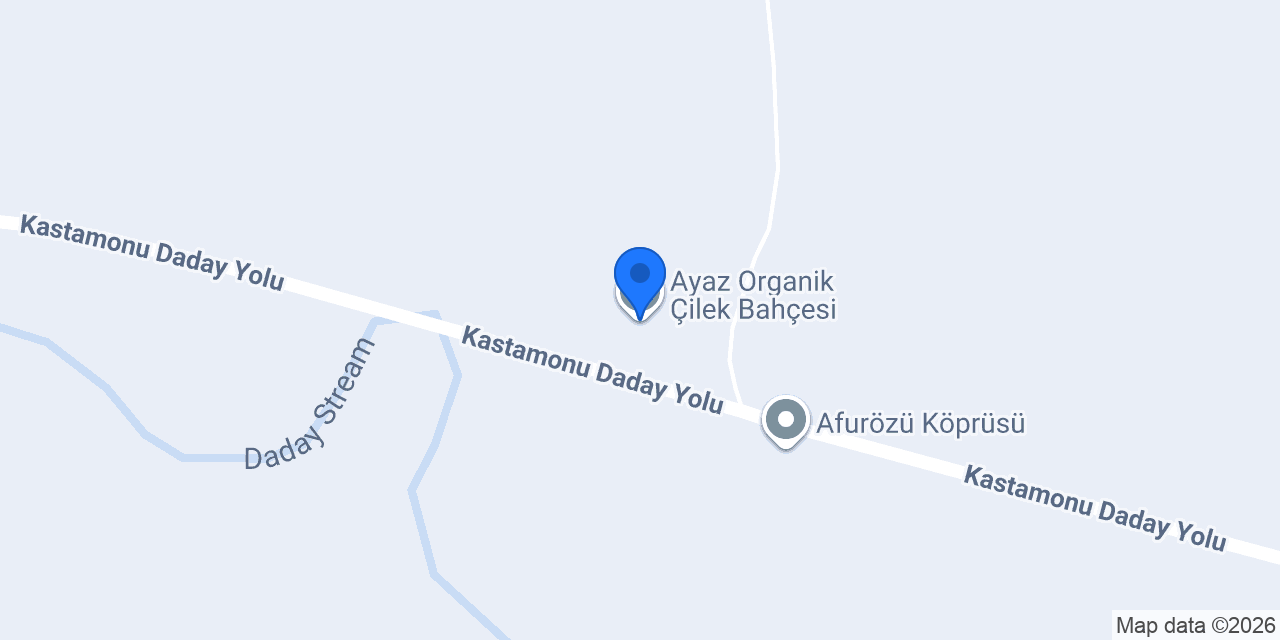 Ayaz Organik Çilek Bahçesi konumu