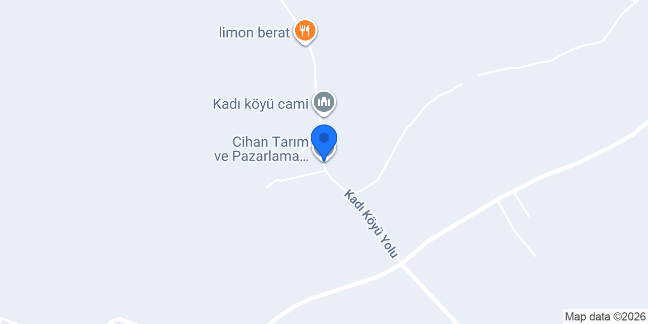 Cihan Tarım ve Pazarlama - taskoprusarimsak.net konumu