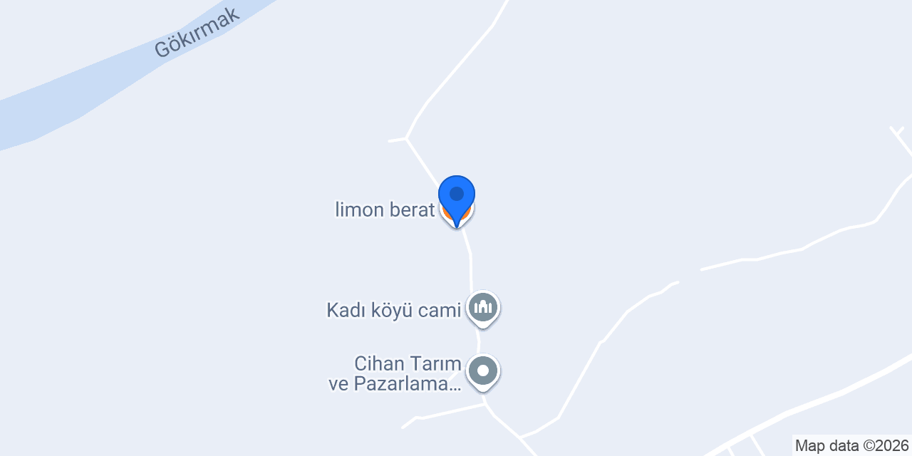 limon berat konumu