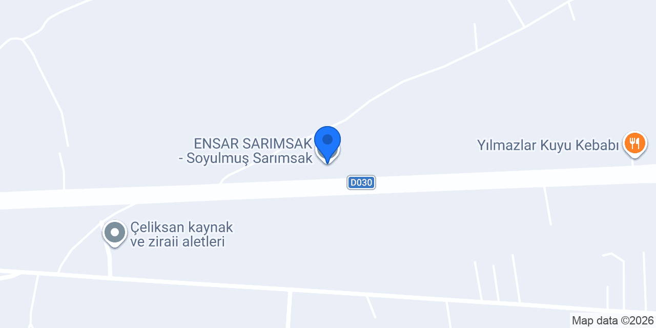 ENSAR SARIMSAK - Soyulmuş Sarımsak konumu