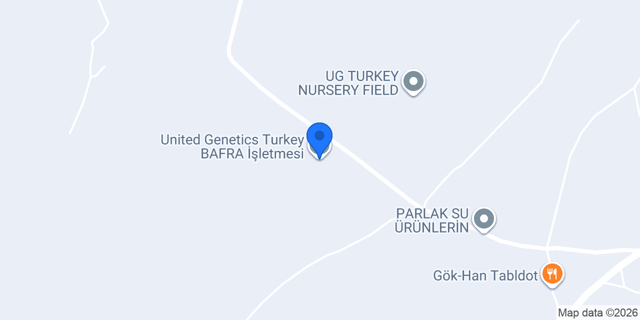 United Genetics Turkey BAFRA İşletmesi konumu