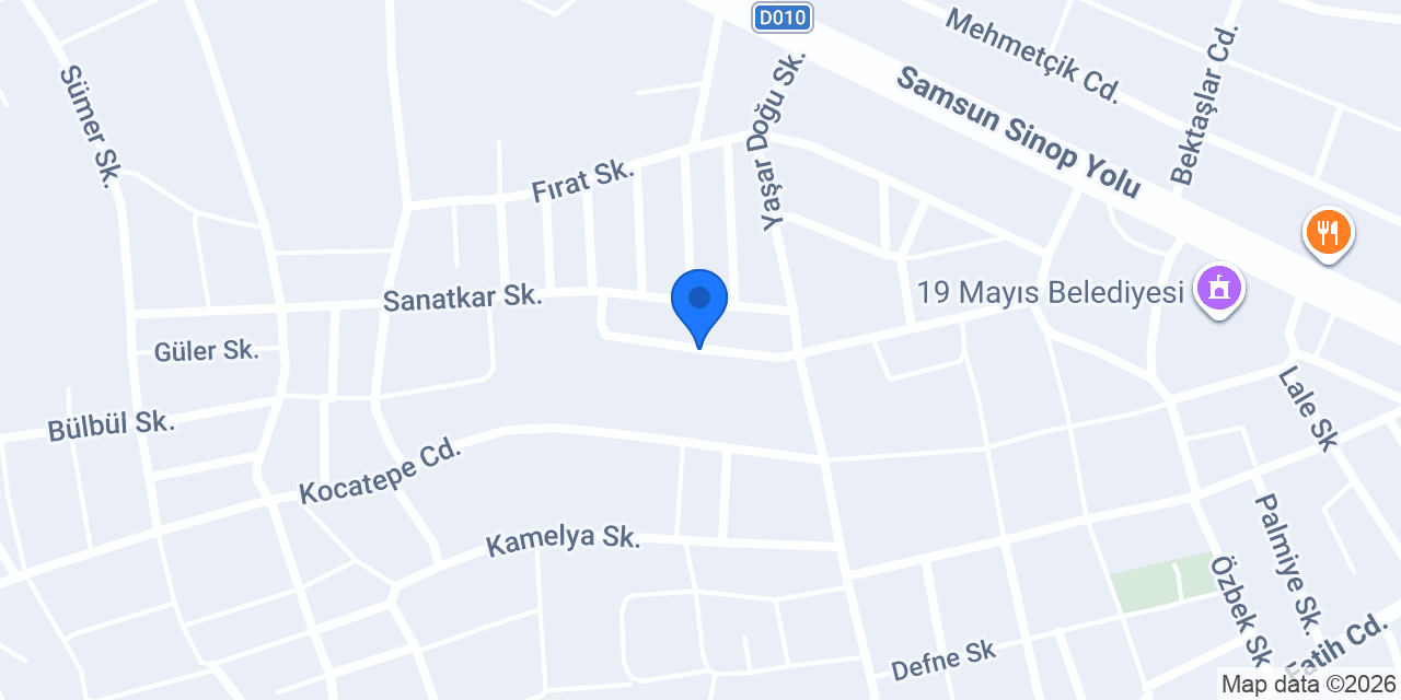 Can oto elektrik konumu