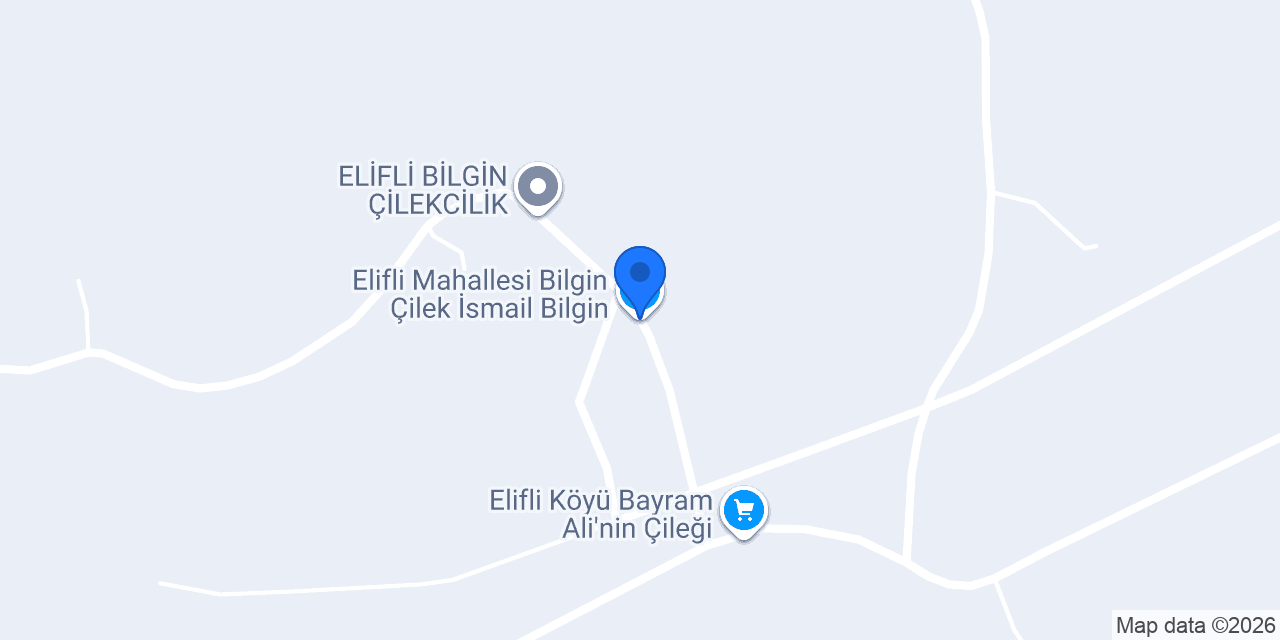 Elifli Mahallesi Bilgin Çilek İsmail Bilgin konumu