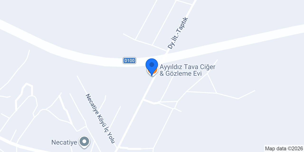 Ayyıldız Tava Ciğer & Gözleme Evi konumu