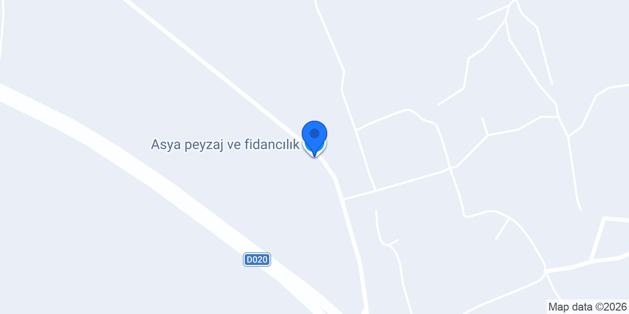 Asya peyzaj ve fidancılık konumu