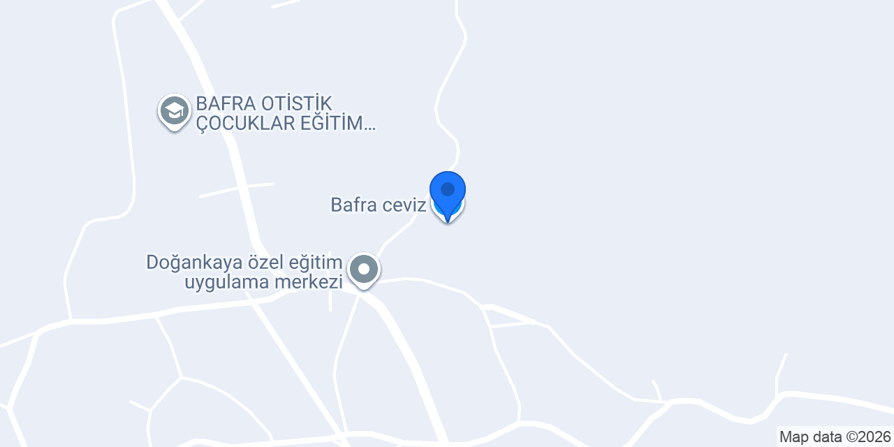 Bafra ceviz konumu